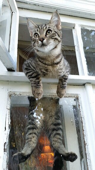 Источник: Яндекс картинки