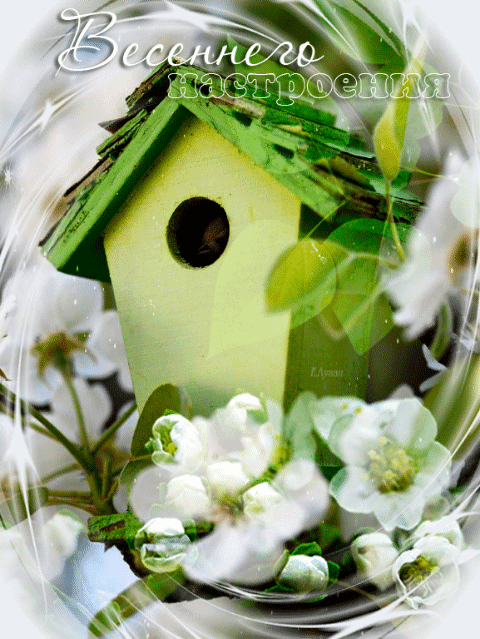 Источник: Яндекс картинки