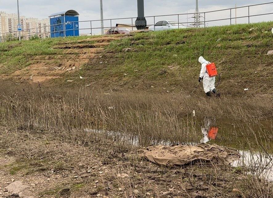  📷    Оренбург начали обрабатывать от комаров Кристина Просвиркина