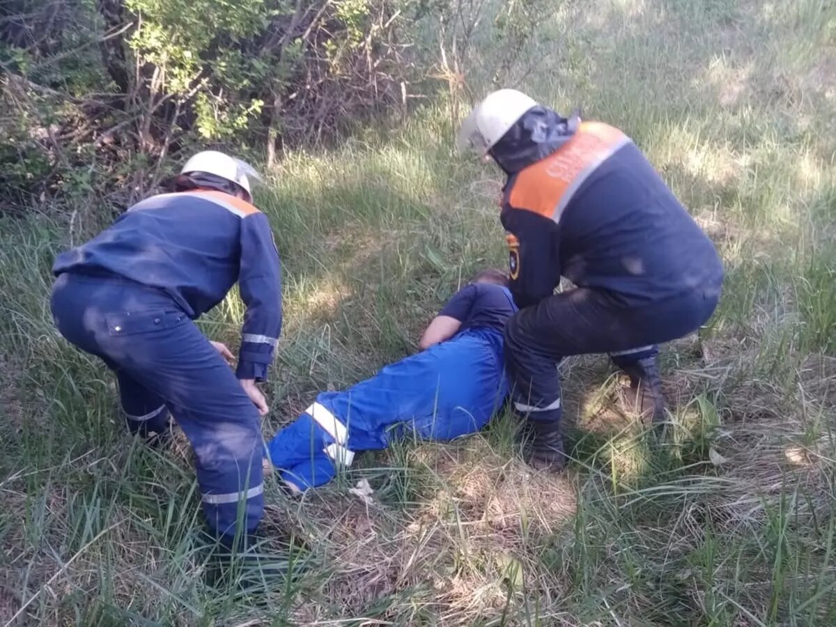 В Ростовской области водитель легковушки вылетел в кювет | Donday.ru | Дзен