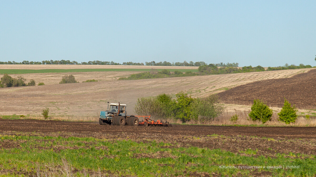 Поля Верхнего Дона