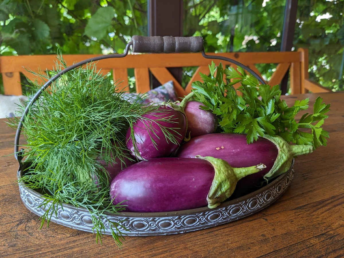 Один из многих сборов "Медальона"