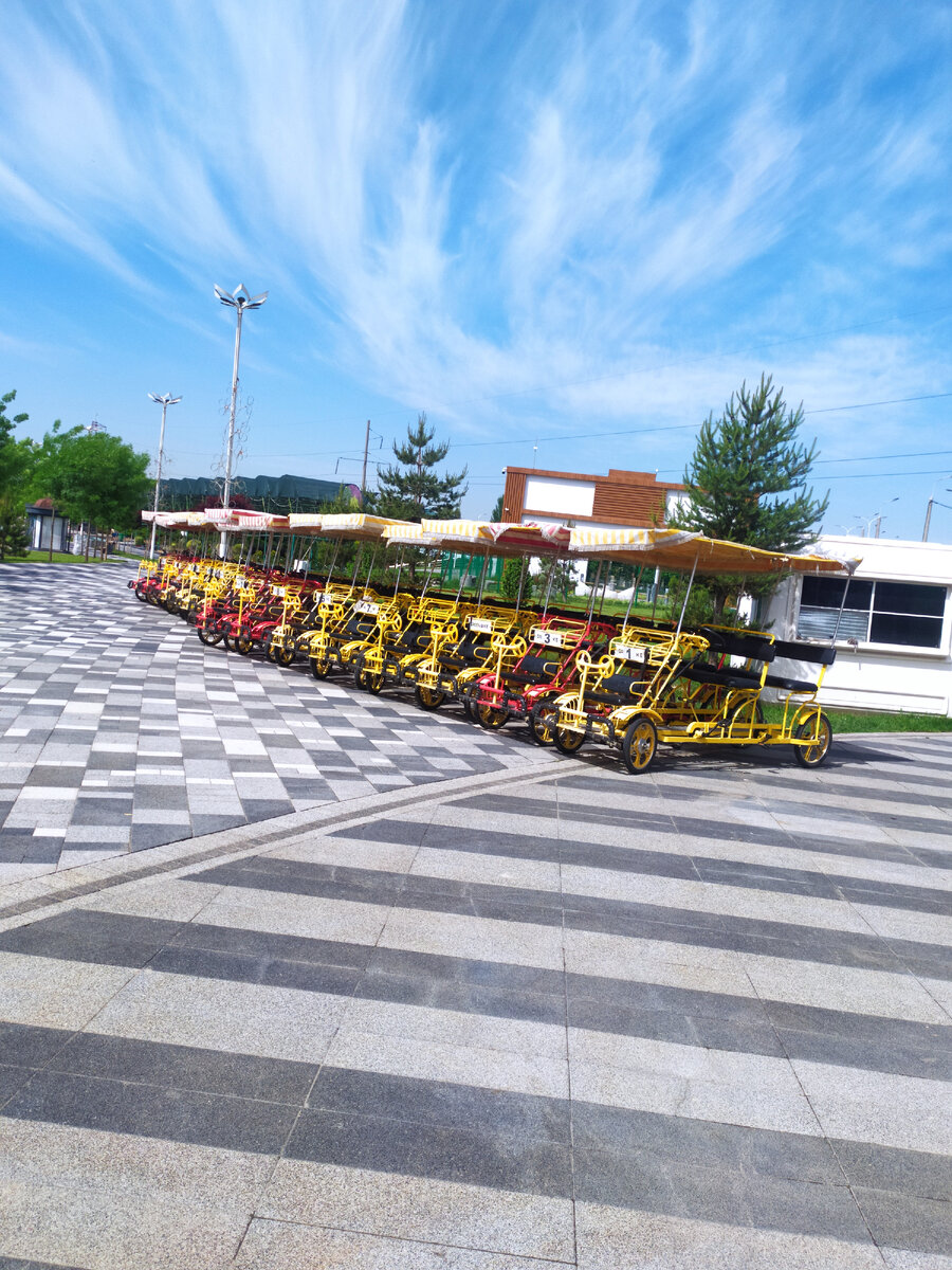 Фото автора.