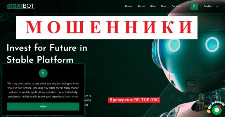 Актуальный обзор мошенника Roxibot, вывод денег