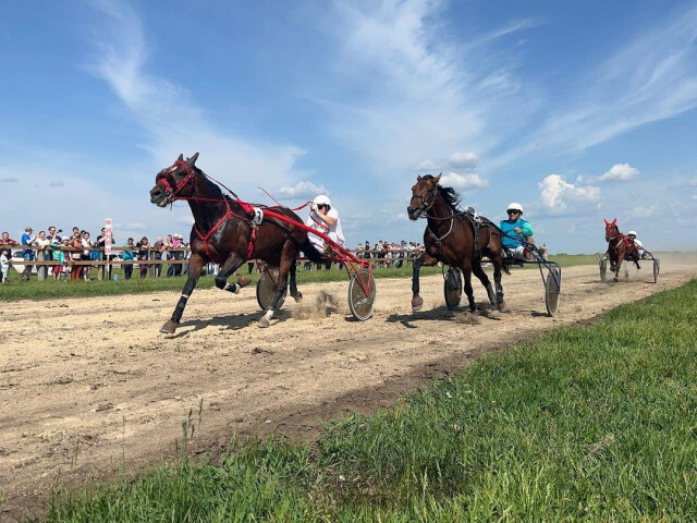 Корпорация  развития Дальнего Востока и Арктики (КРДВ). В Амурской области одним из ярких примеров освоения гектара и точкой притяжения туристов и местных жителей стала конюшня в селе Поляна