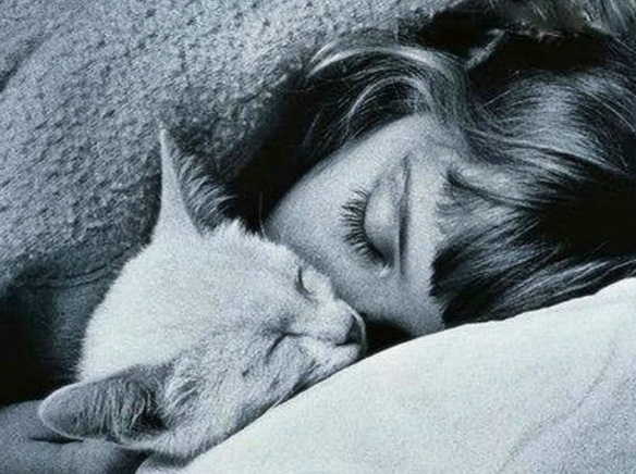 Почему ночью кошке надо обязательно залезть к хозяину в кровать