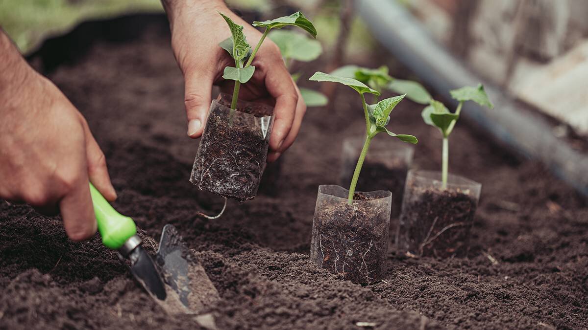    Фото: shutterstock