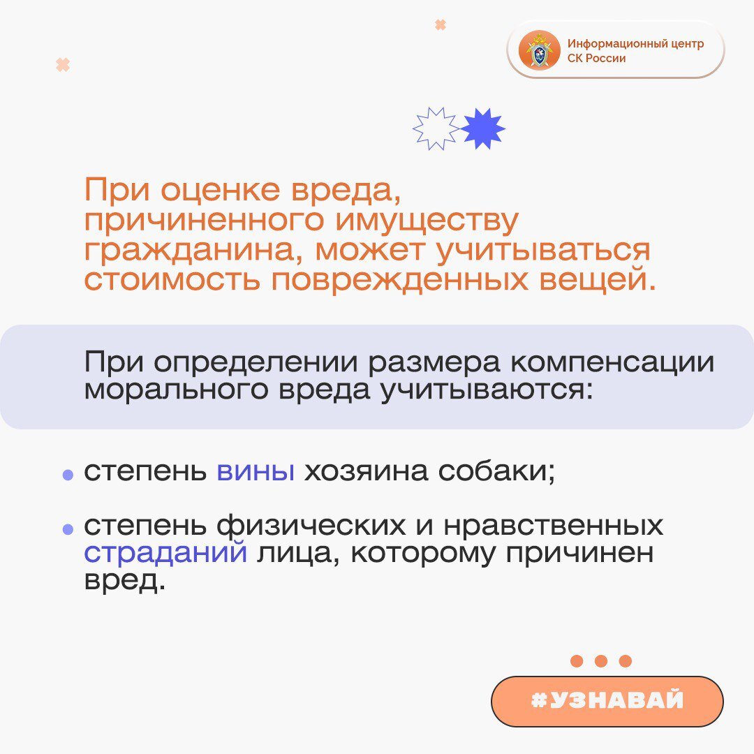 О возмещении вреда, причиненного гражданину и имуществу в результате  нападения собаки – в проекте #Узнавай | Информационный центр СК России |  Дзен