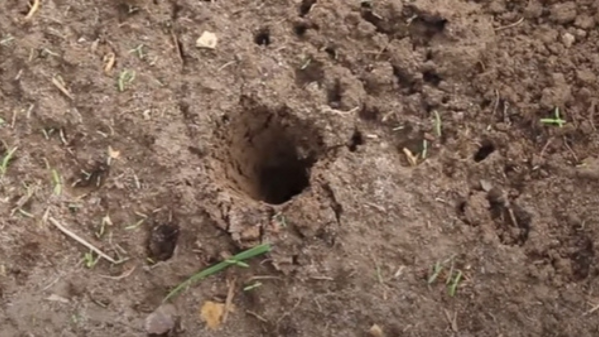 Листайте схему посадки