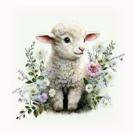 Овца (или Коза)- знак сострадательного доброго самаритянина, который стремится принимать участие во всем происходящем. Его мир был спо­койным и защищенным.