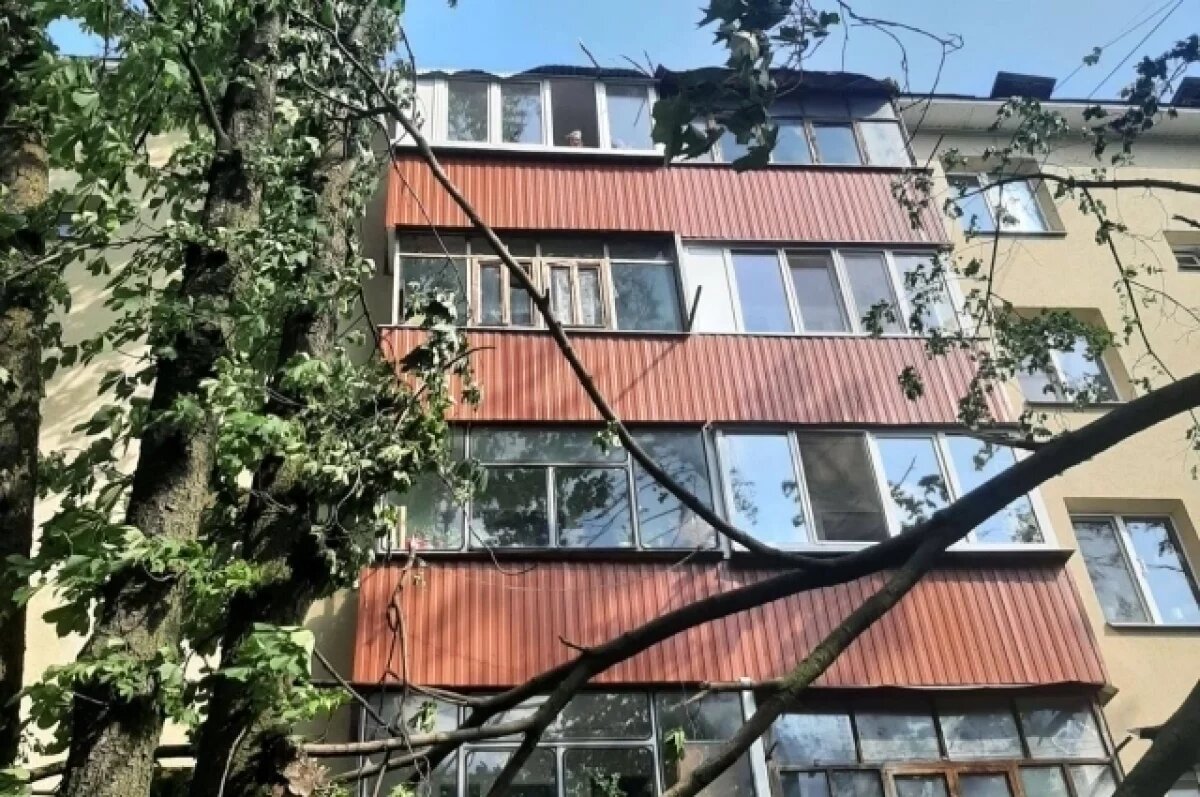    В Белгороде из-за сильного ветра пострадали шесть автомобилей