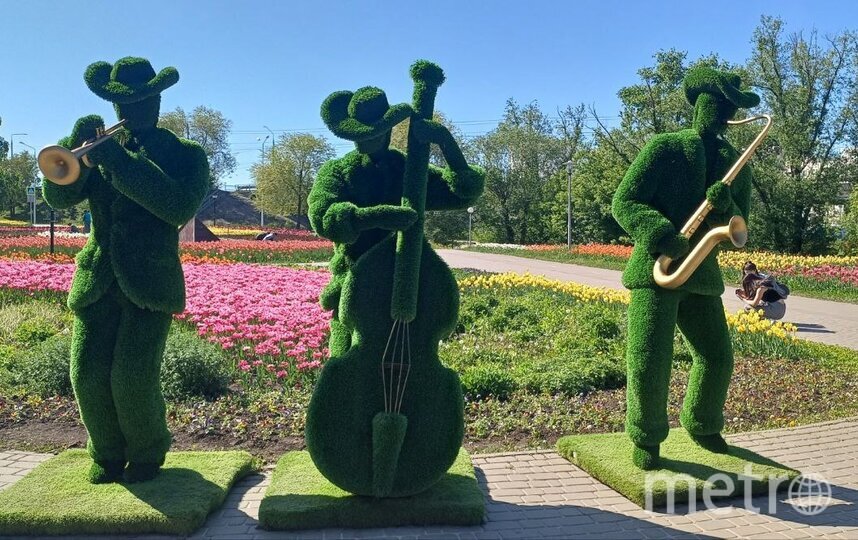    Зеленые музыканты играют джаз.Ирина Алексеева