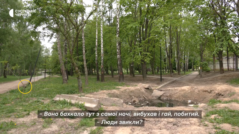 Воронка от 152 мм снаряда в парке Березовый гай: