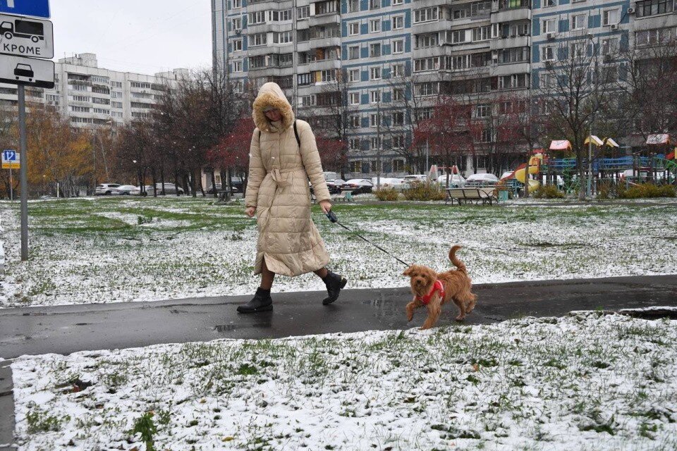 Погода в москве 1 июля 2024. Снег в Москве. Гололед в Москве. Снегопад в Москве. Похолодание.