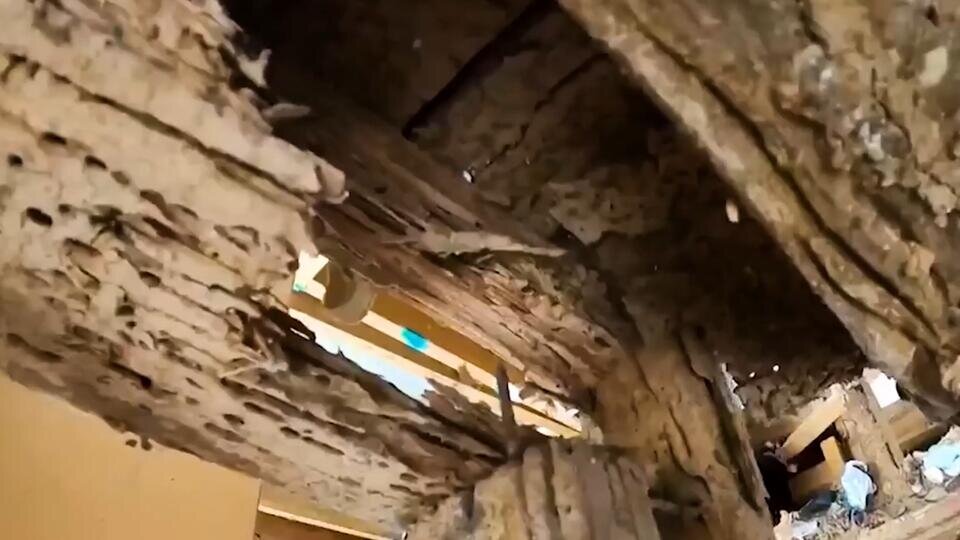 Фото: © Скриншот видео