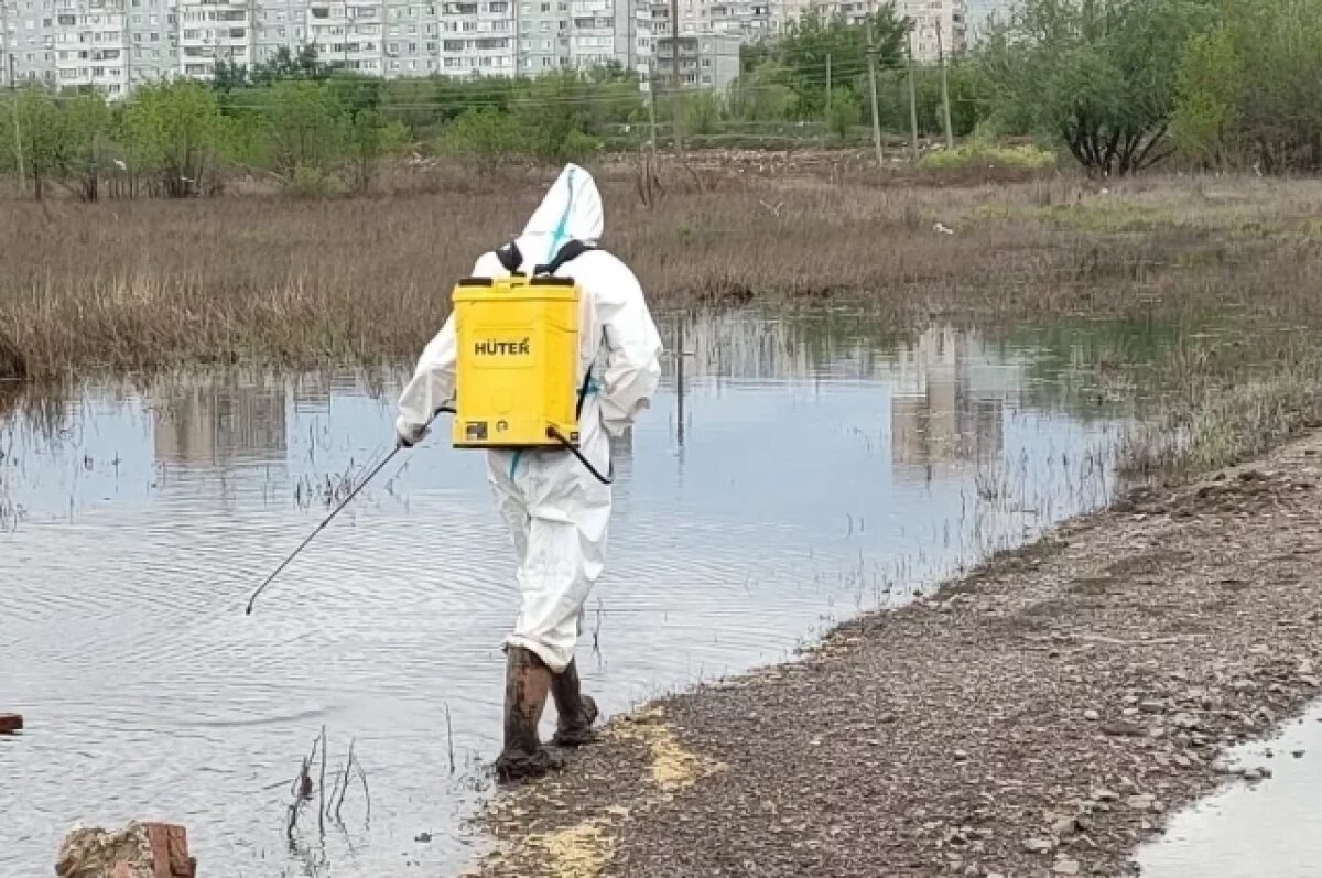    В Оренбурге ведётся обработка от комаров