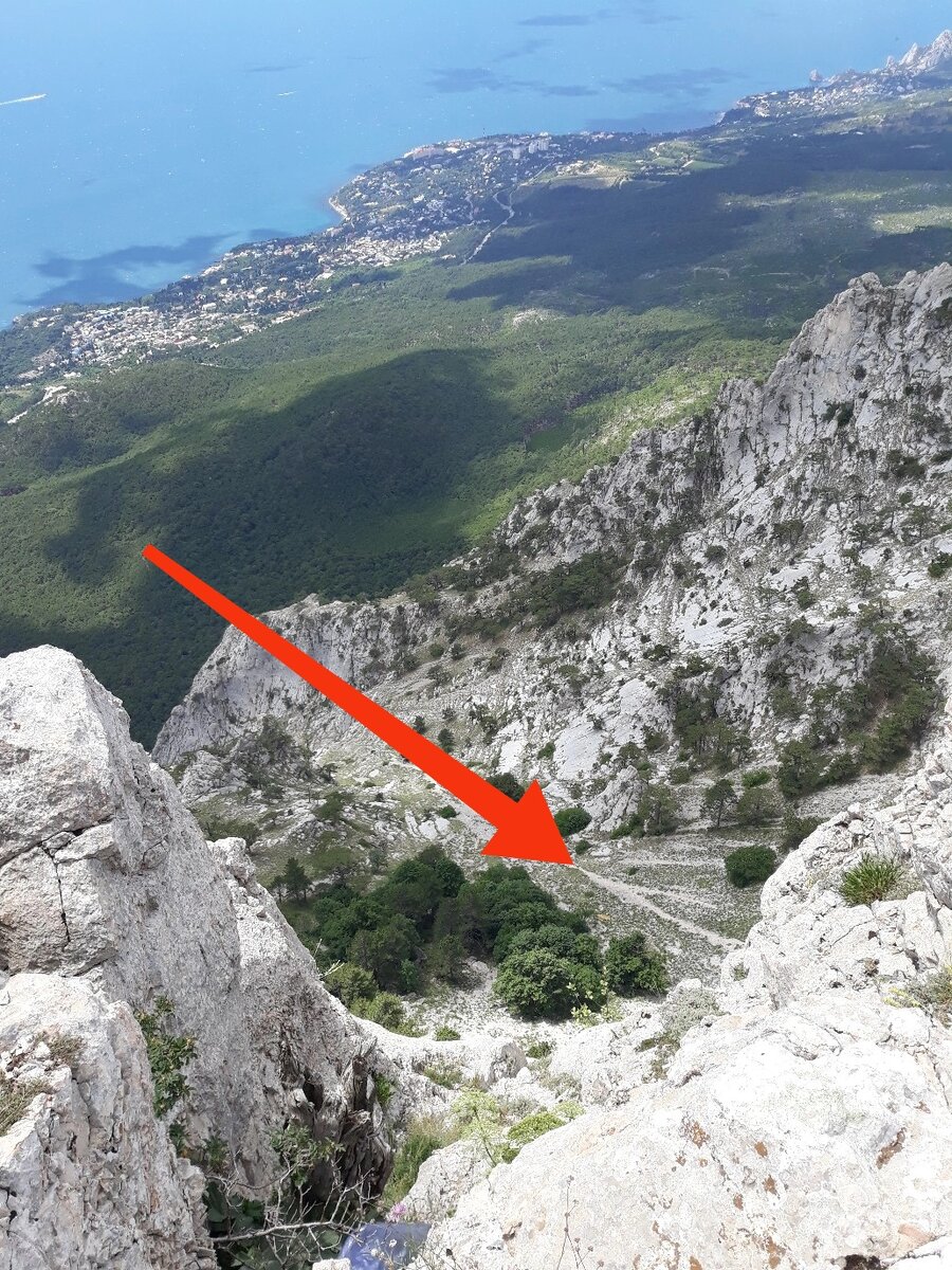 А именно вот по этой дороге 