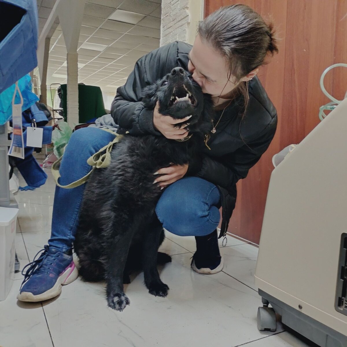 Настя и Муха