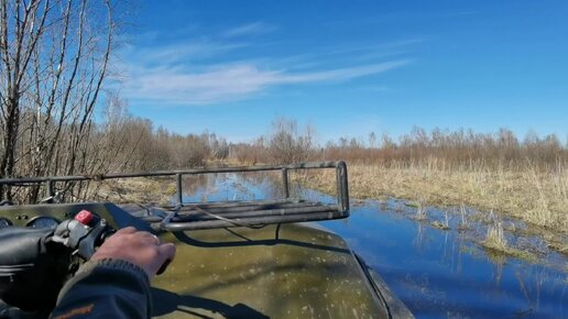 Поездка на болотоходе по лесным делам. Столько зверья за один день я никогда не видел!