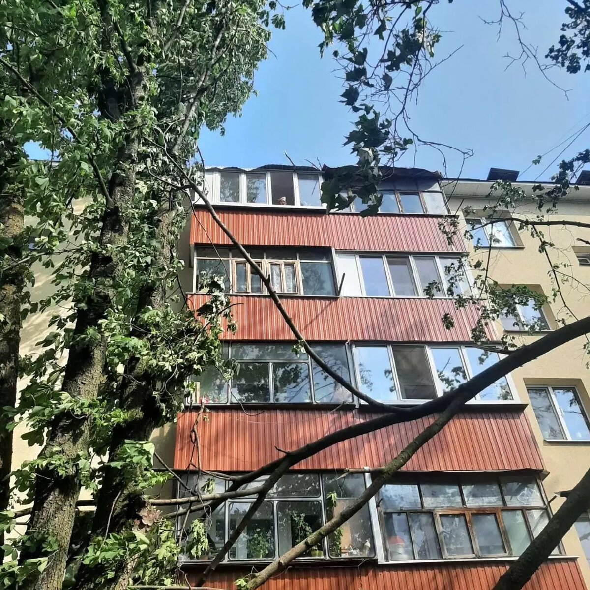     Источник: Тг-канал Демидов (официальный канал мэра Белгорода)