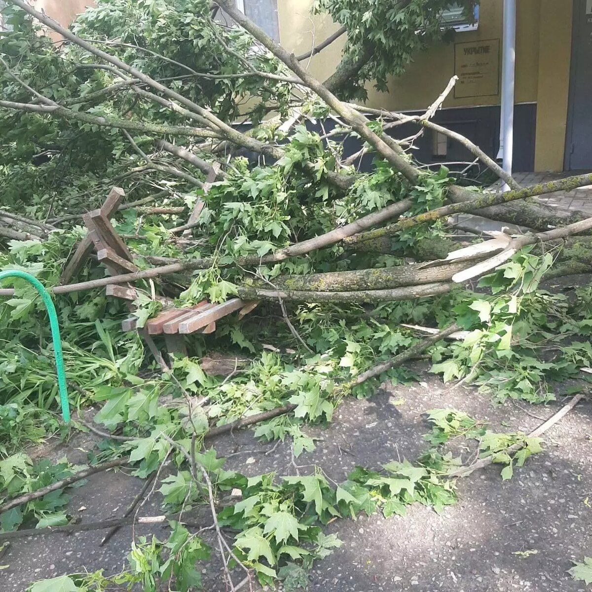     Автор: Валентин Демидов