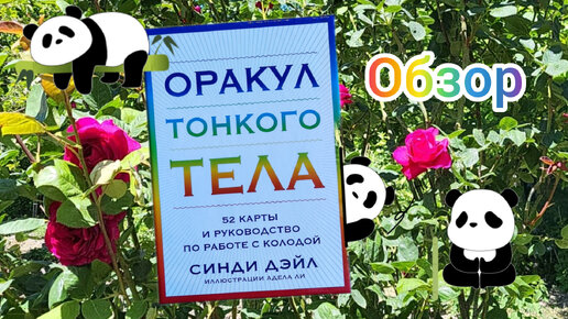 Оракул тонкого тела - обзор. Прокачает вашу интуицию или зачем я купила эту х...🙈