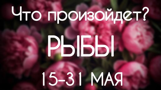 Рыбы ♓️ Каким будет период с 15 по 31 Мая 2024. Гороскоп таро