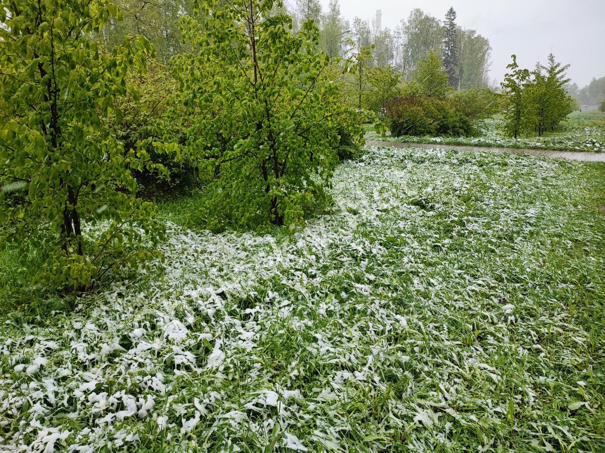 Снежный Обнинск