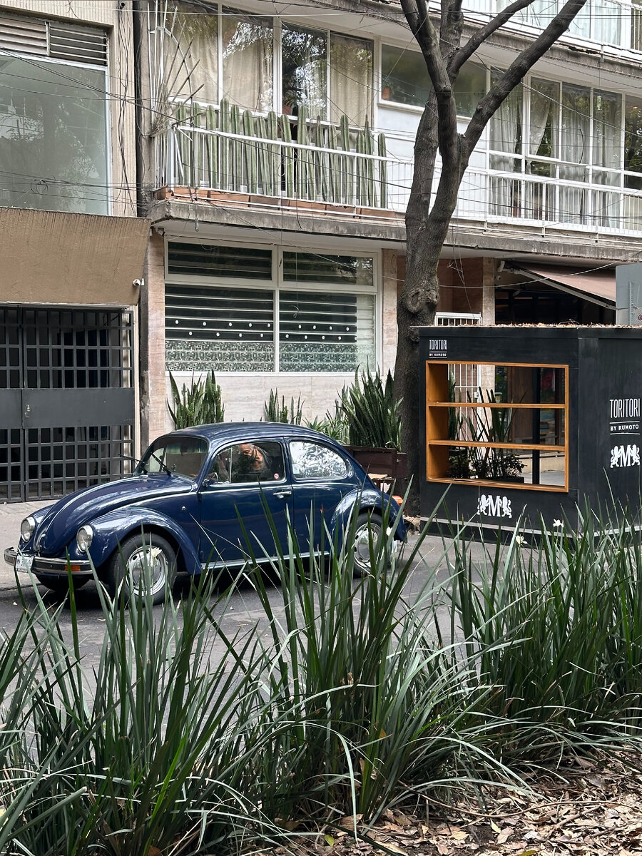 Где-то в районе Кондеса, Мехико