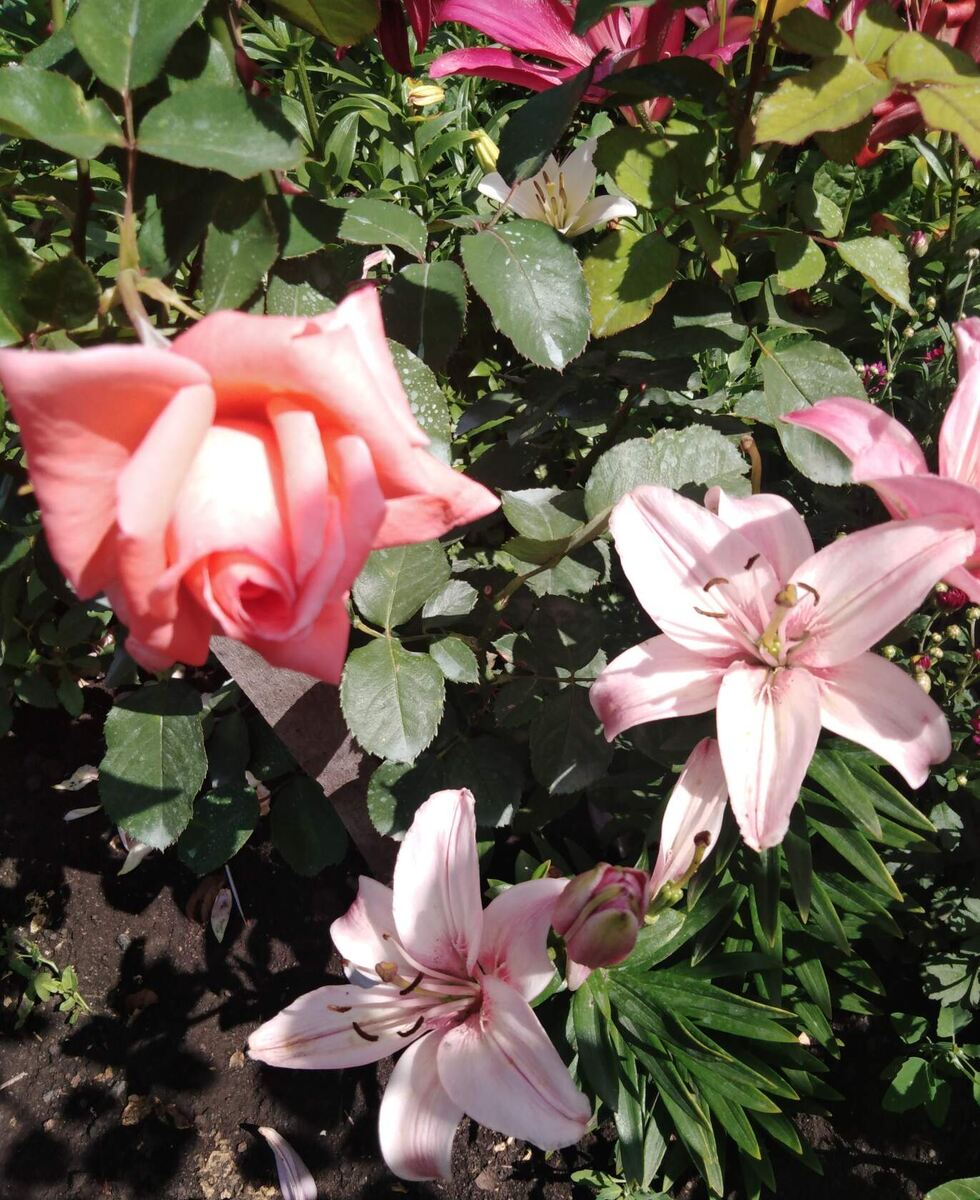 фото Татьяны