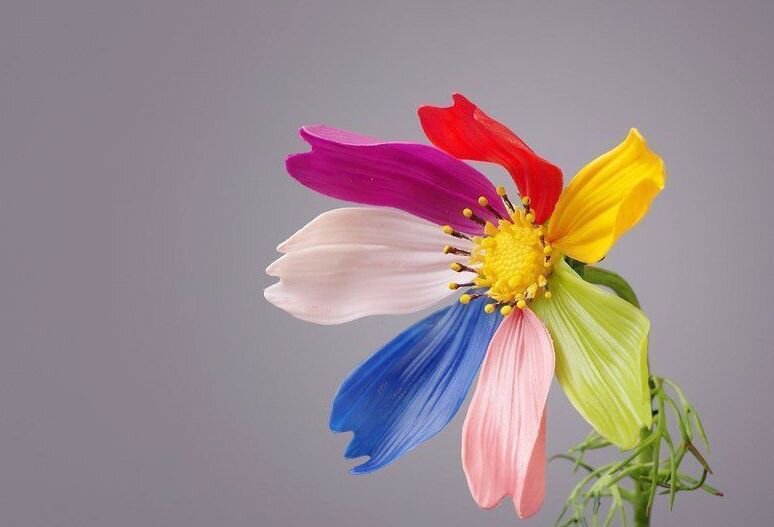 Картинка из открытого доступа Цветик семицветик