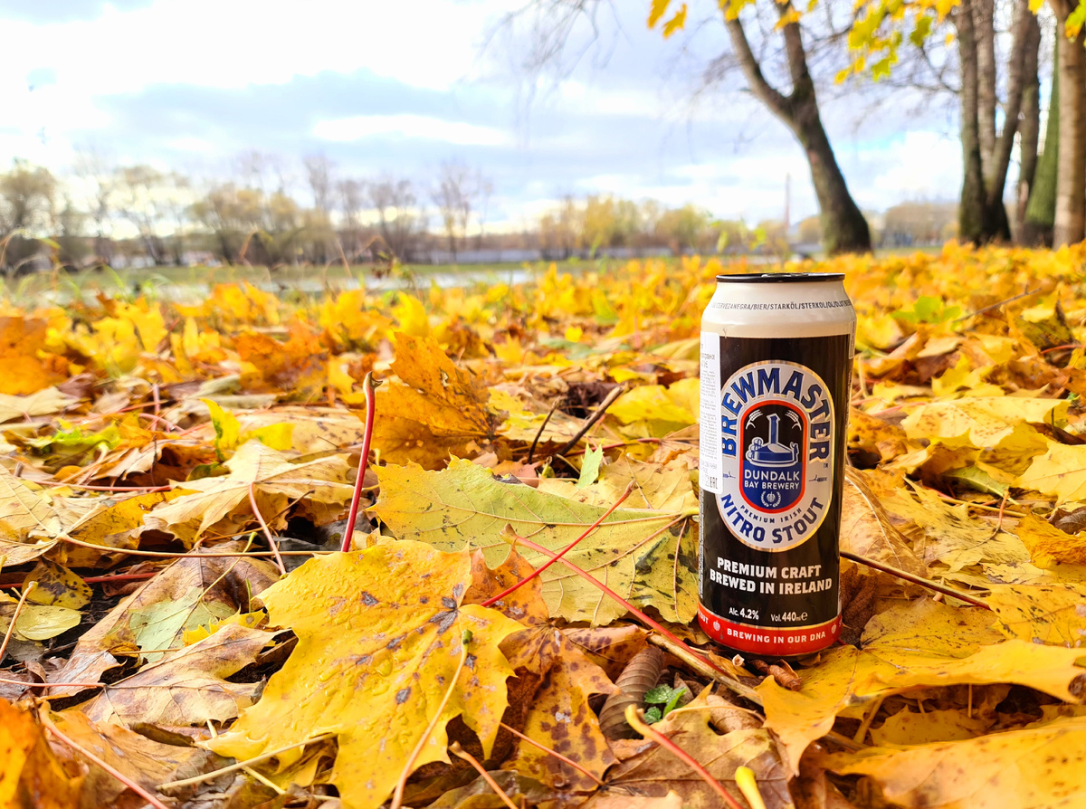 Brewmaster Nitro Stout, фото автора