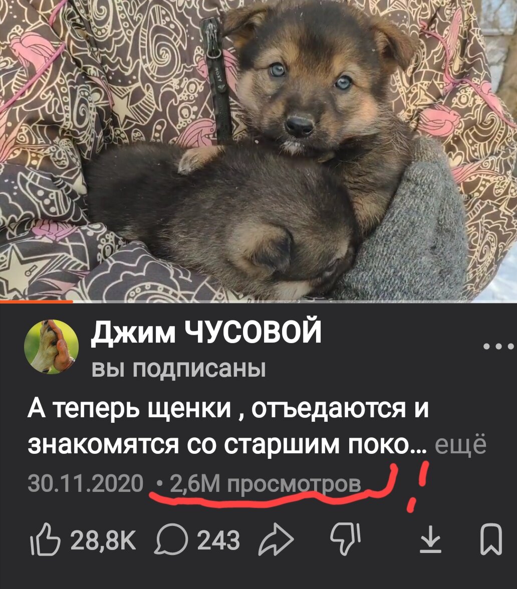 Для сравнения: видео 3 года набрало 2.6 миллионов просмотров. Тогда у Дзена  была очередная проблема- он стирал наши ответы на комментарии через сутки от публикации. Проблему решали несколько месяцев  ⏭️⏭️⏭️