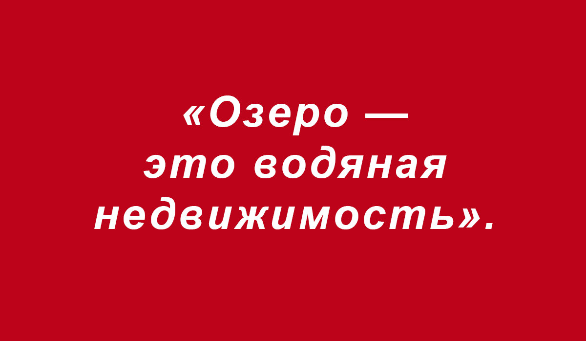 Смешные предложения из школьных сочинений (подборка 272) | СЧАСТЬЕ и  ОПТИМИЗМ | Дзен