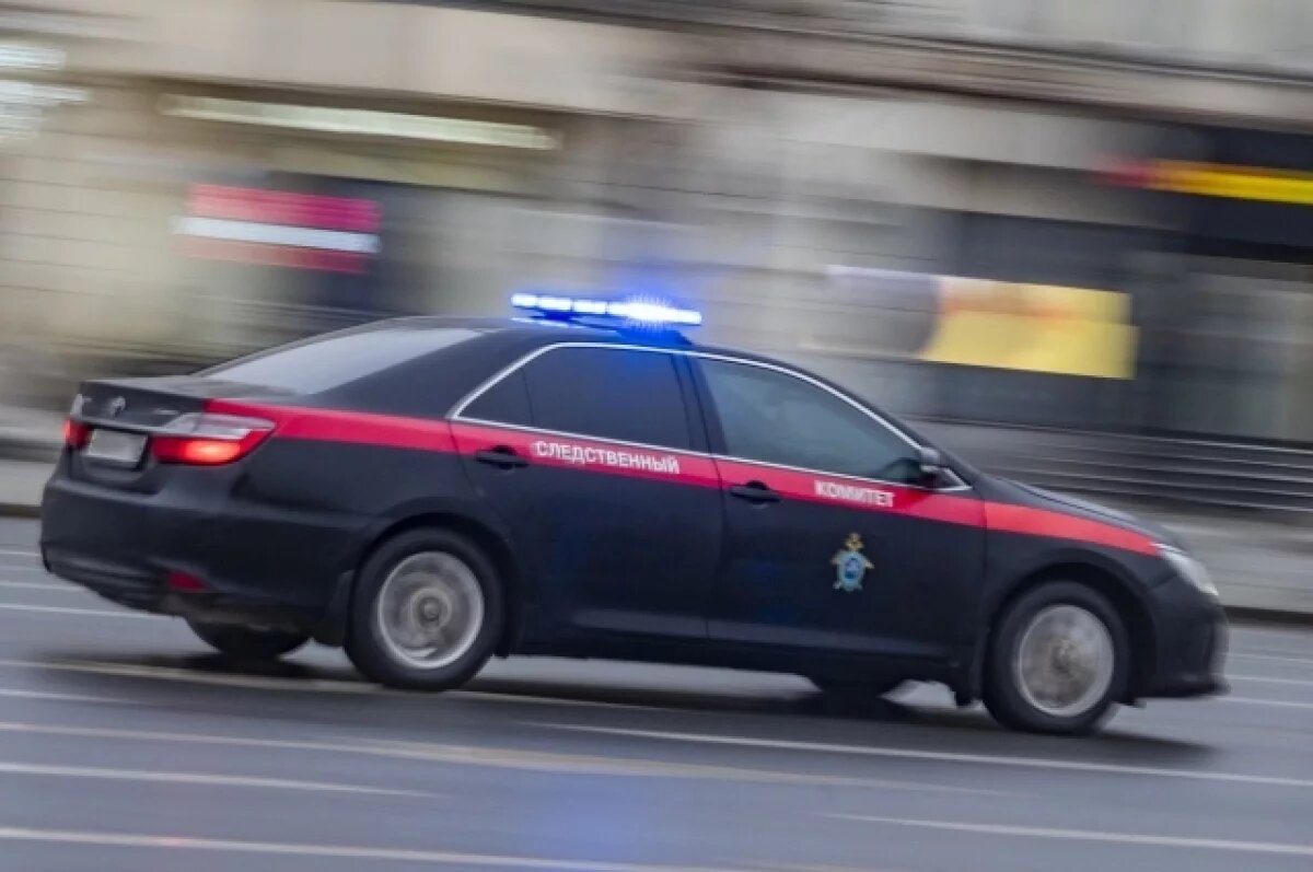    В Архангельске завели дело из-за убийства рожденного школьницей младенца