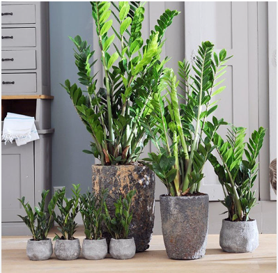 фото взято с просторов интернета