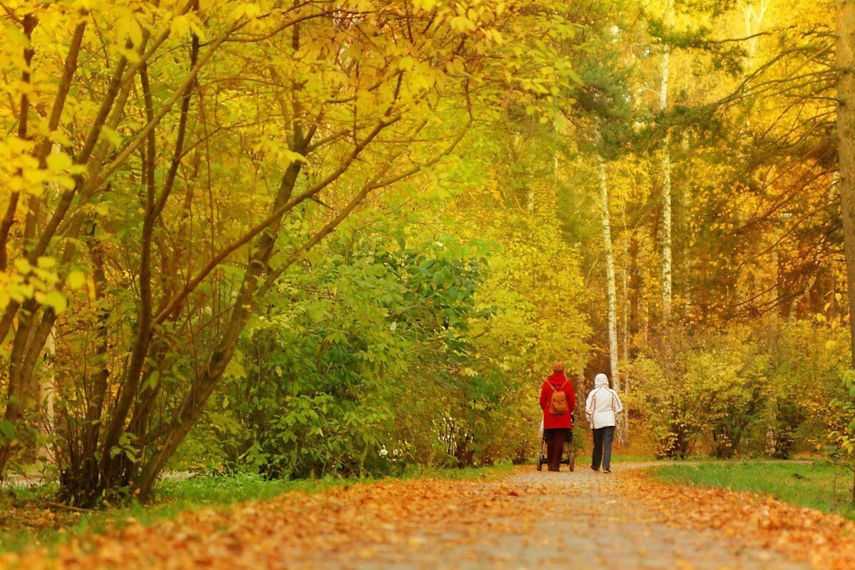 Прогулка по осеннему парку