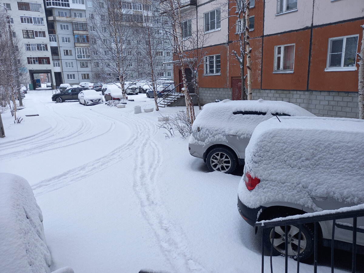 Утренний нежданчик