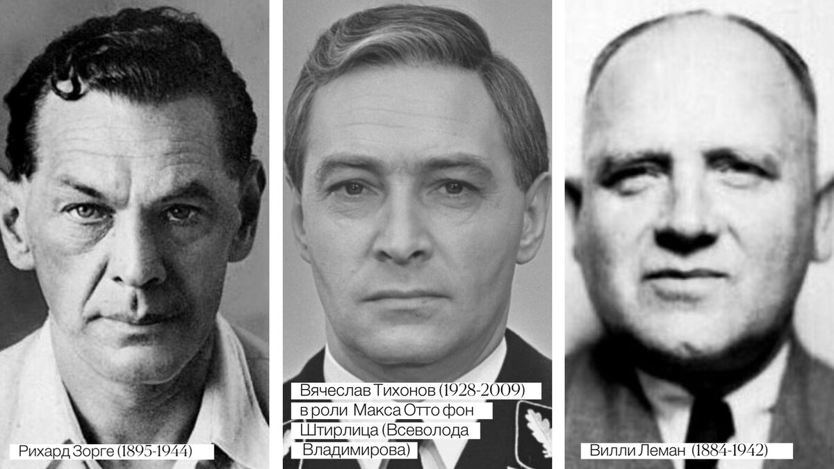 Коллаж автора статьи (фото из свободных источников)