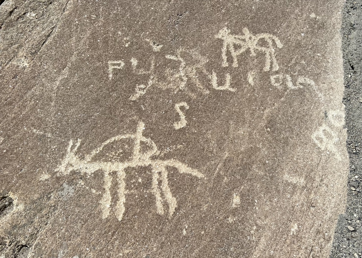 Петроглифы в Лянгаре, фото автора, 2024