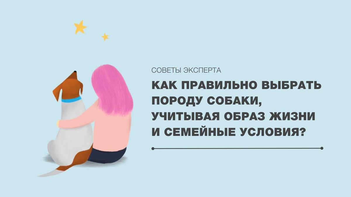 КАК ПРАВИЛЬНО ВЫБРАТЬ ПОРОДУ СОБАКИ, учитывая образ жизни и семейные  условия? | ЛавГав | Дзен