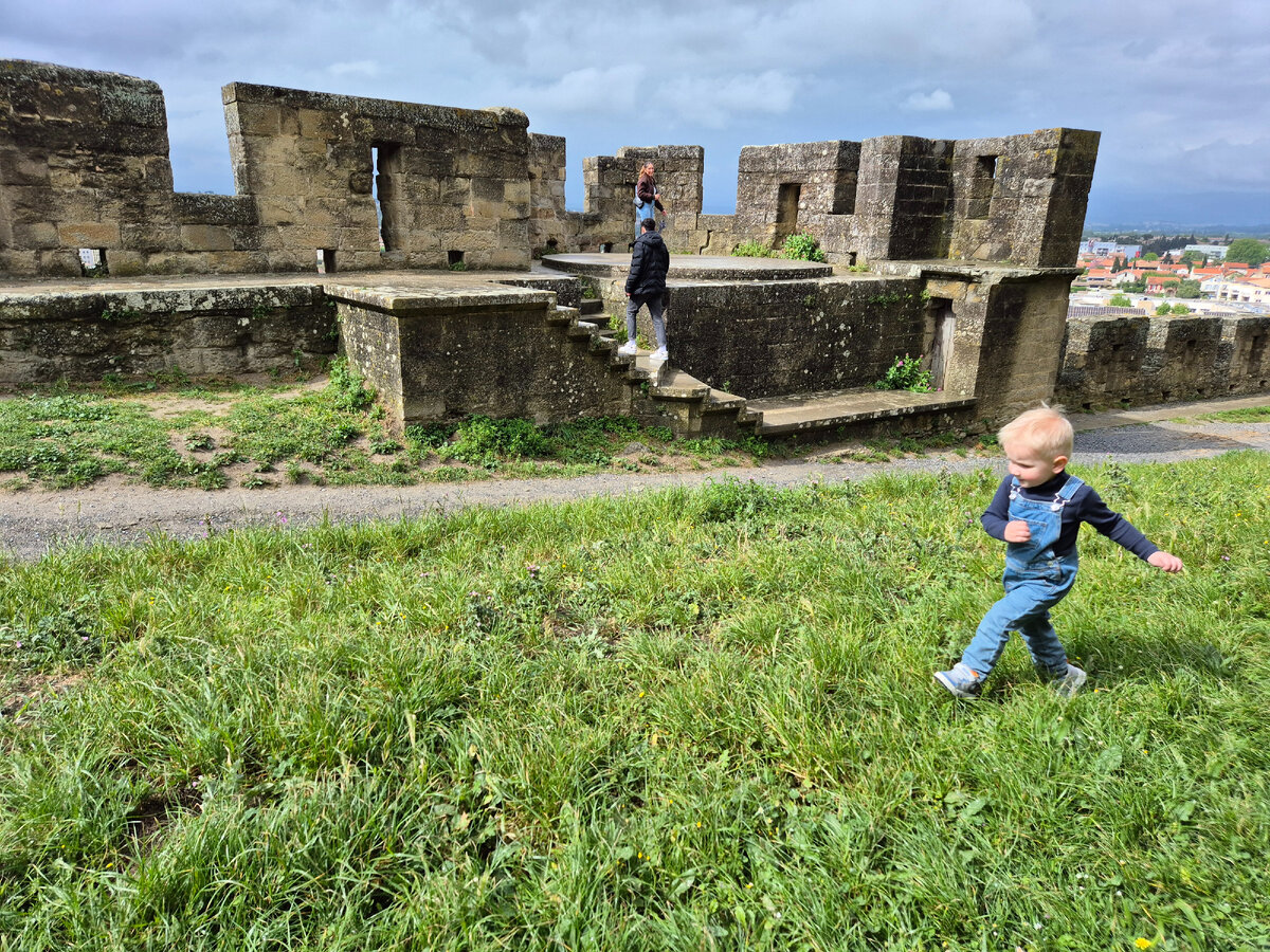 Бежит вокруг замка Каркасон