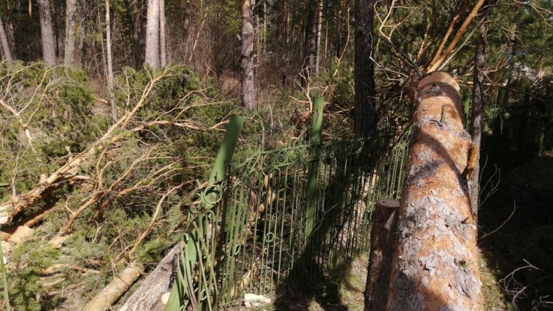     Ветровал вокруг лагеря «Крылатых» в Калманском районе. Анатолий Есаулов