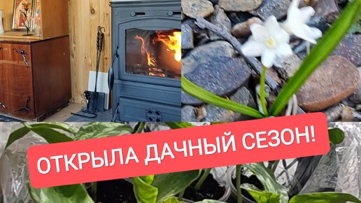 Открыла 🏡Дачный Сезон! На Даче 🌞Благодать! 🌿Рассада!