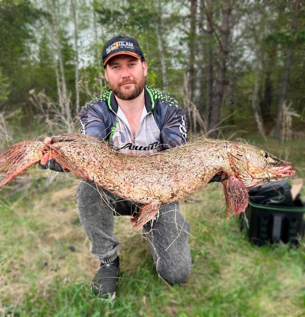    Красавица-щука весом 9,5 килограммов. Фото: Из личного архива/ фото Александра Труфакина