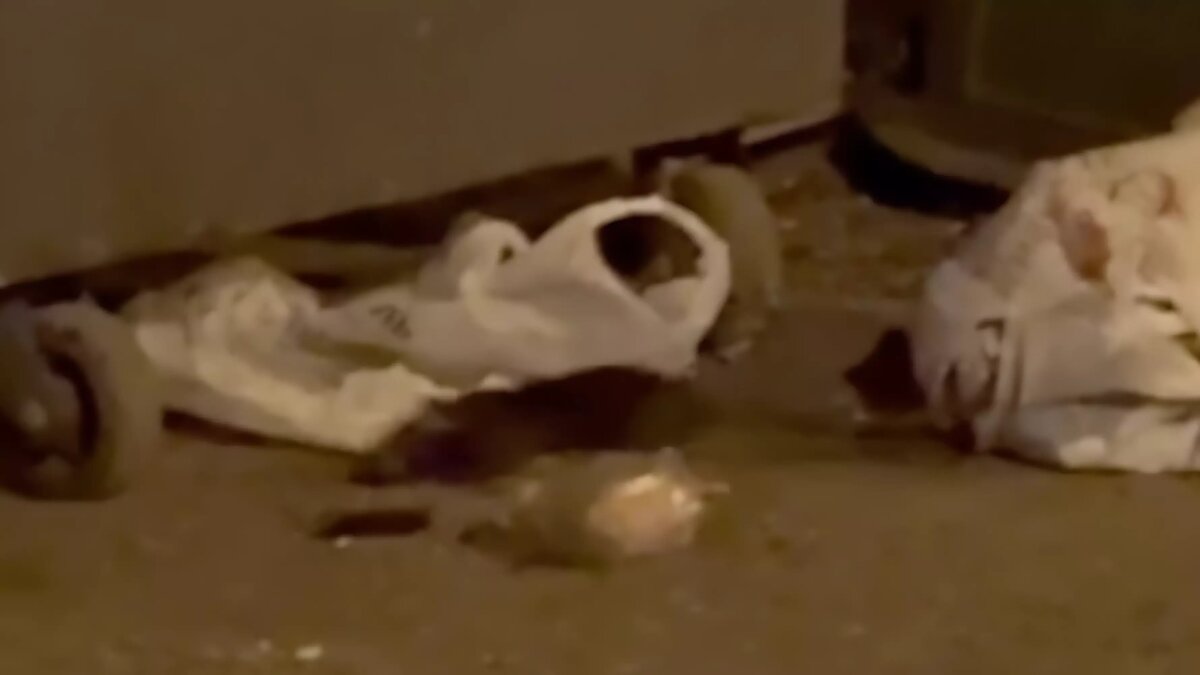     Источник: Денис Шалюта, vk.com