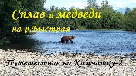 Нашествие медведей на сплаве! Путешествие на Камчатку-2. Медведи шли к нам на обед...