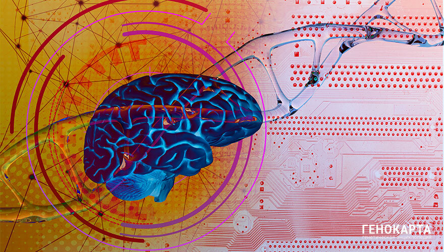 Kittyfly // shutterstock.com