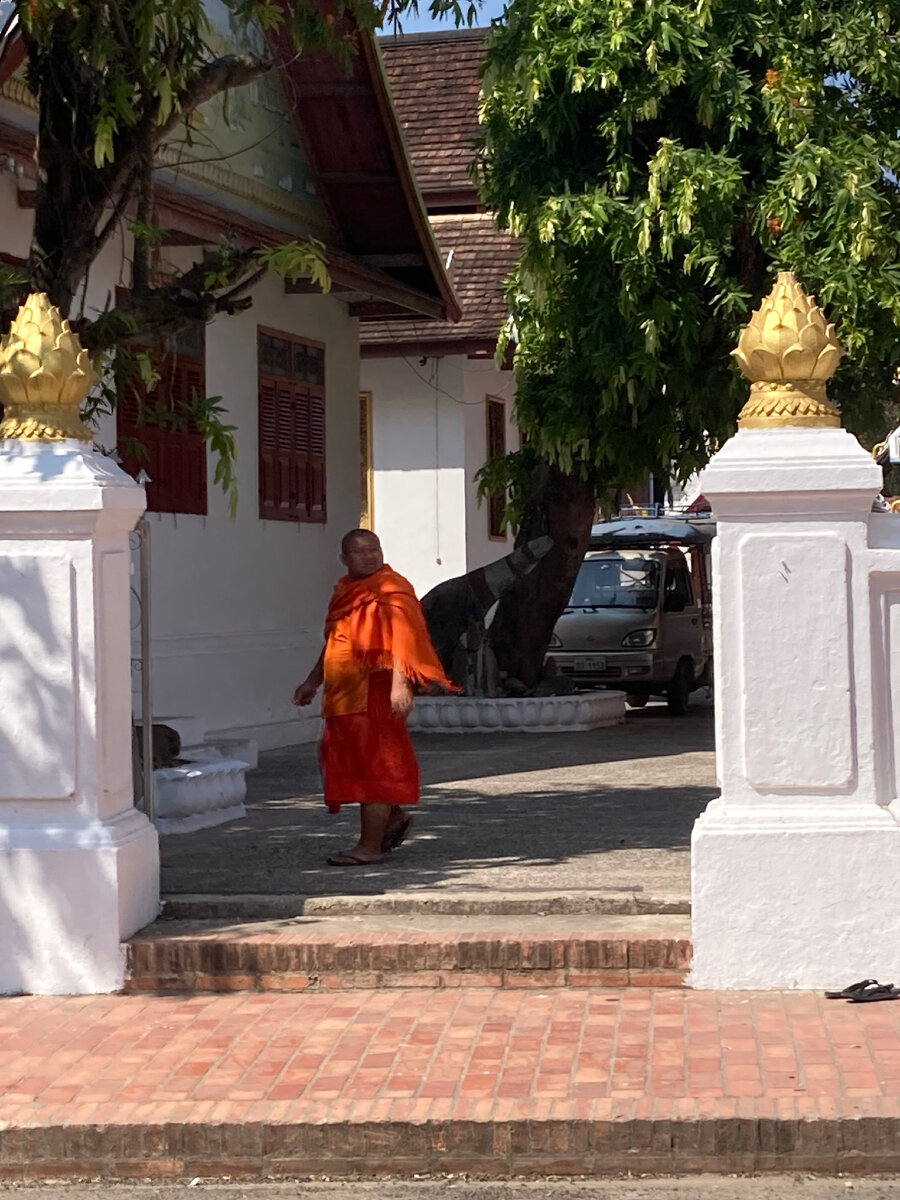 Монахи особо не возражают против фото 