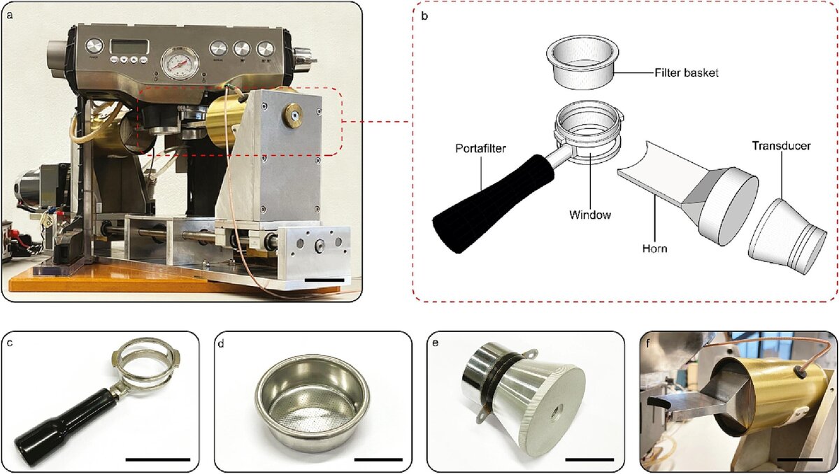    Ultrasonics Sonochemistry (2024)